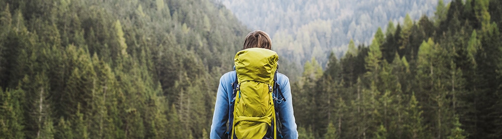 Person with a backpack looking at the mountains