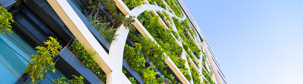 green building concept representing sustainability