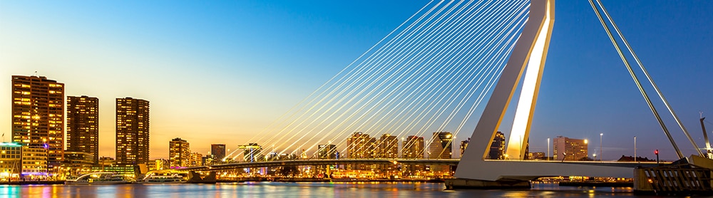 View of Erasmus Bridge Rotterdam