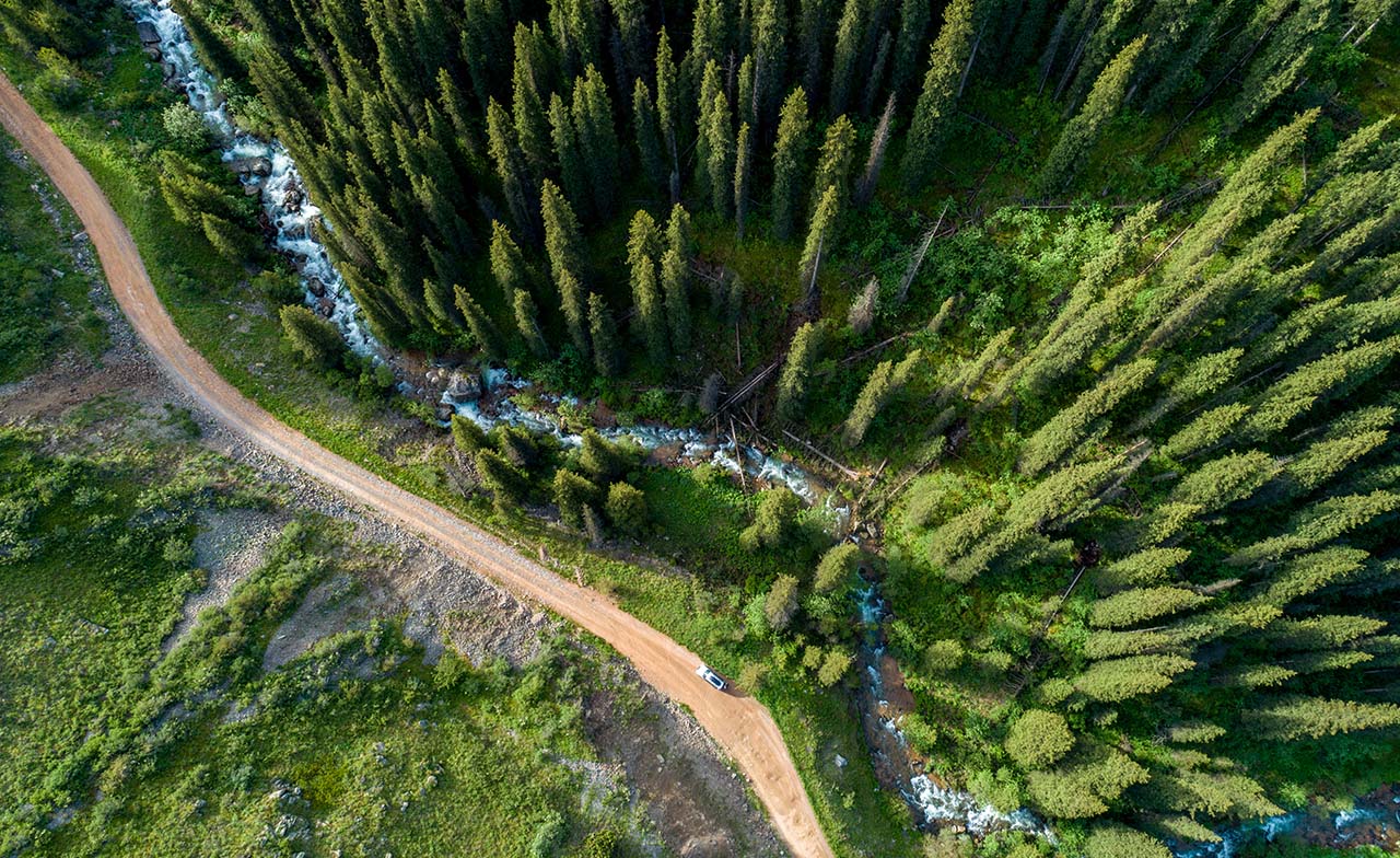 Aerial view of forest and road