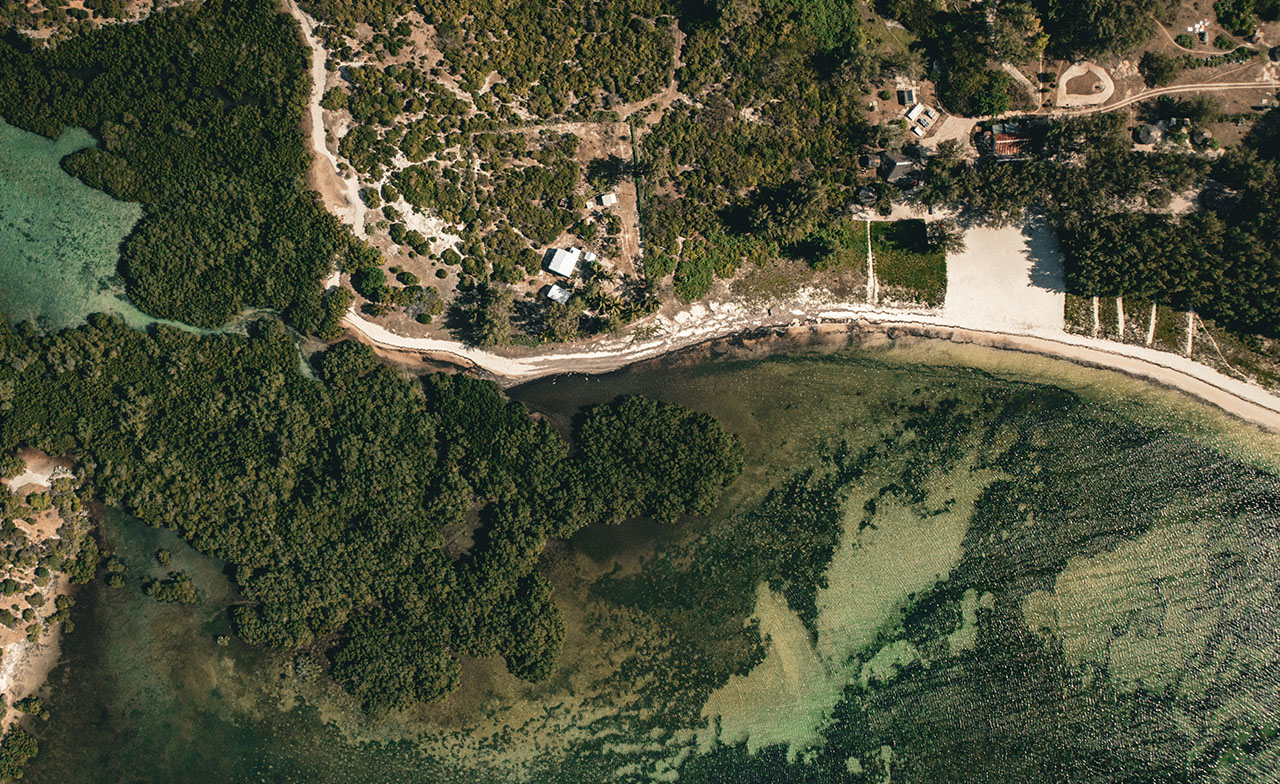 Aerial view of mangroves in Madagascar