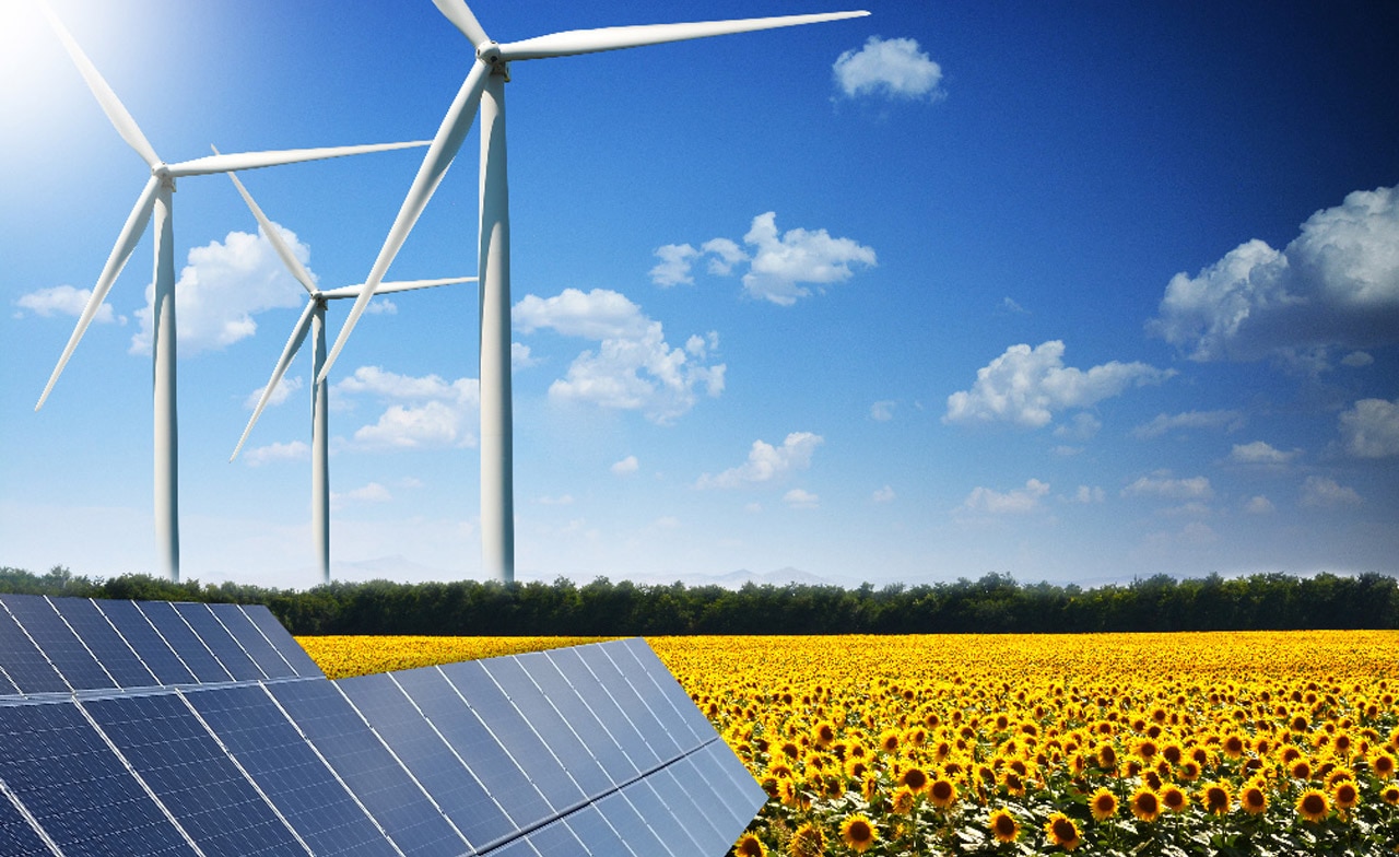 solar panels and wind turbine in a sunflower field