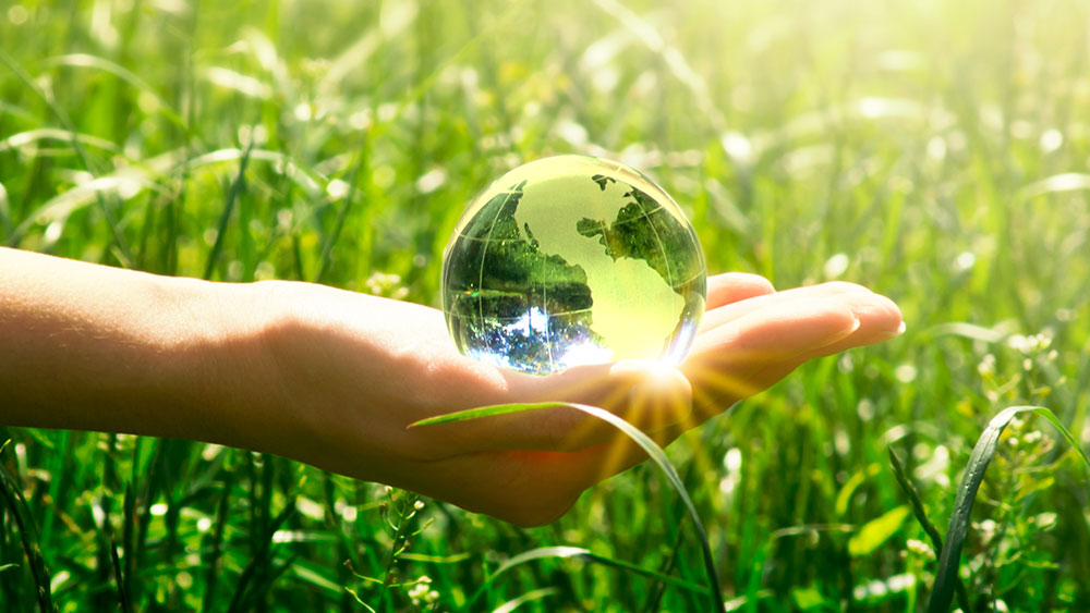 Female hand holding a transparent globe in the middle of a grass meadow in the full sunshine