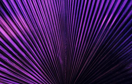 purple lines abstract 
