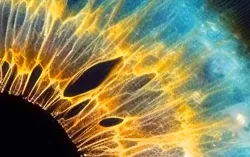 AI, close-up human eye