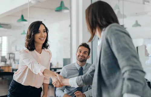 consultant shaking hands with client