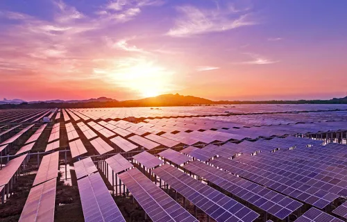 solar farm at sunset