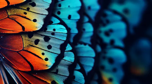 People AI Viewpoint Paper